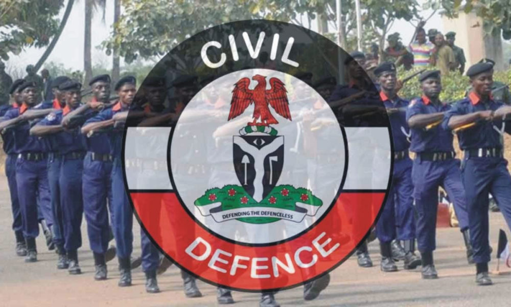 UNIMAID, 18 Other Private Security Companies Get NSCDC’s Operating License