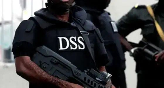Law and DSS